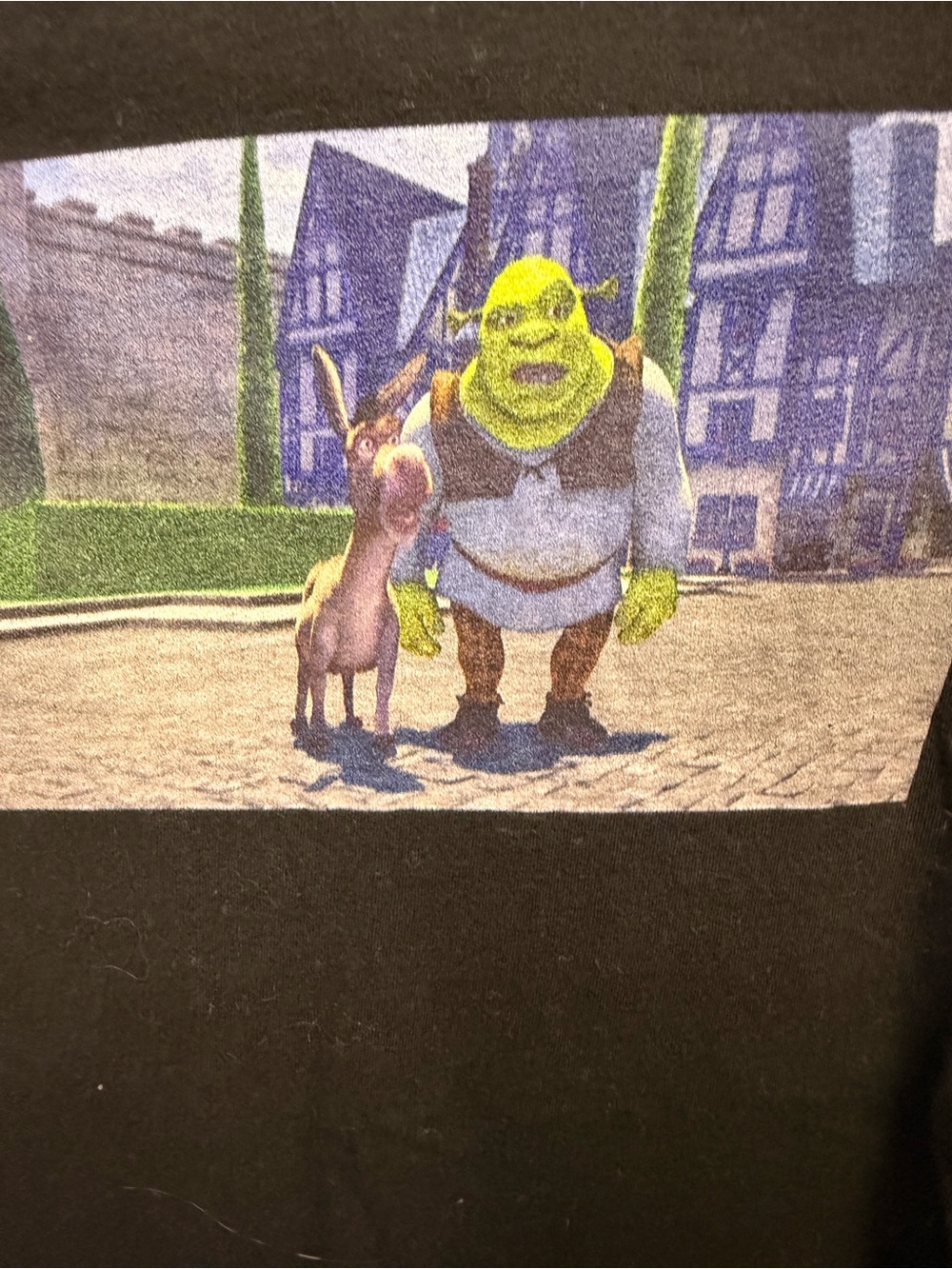 Dreamworks Black Tee with Green SHREK & Brown Donkey Graphic